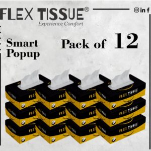 Flex Tissue Box (Smart Size Smile) Pure Quality (75x2 ply) (PACK OF 12)